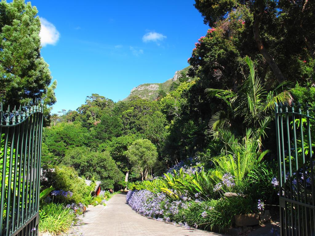 Constantia River Cottage Dış mekan fotoğraf