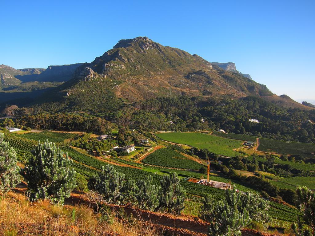 Constantia River Cottage Dış mekan fotoğraf